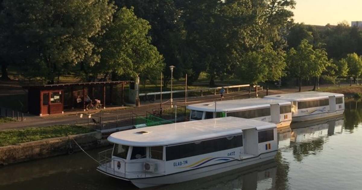 Activități din Timișoara în data de 8 august 2024