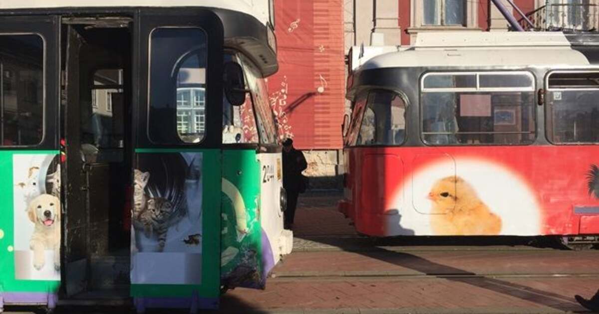 Cate mijloace de transport scoate zilnic RATT pe traseu si pe ce linii