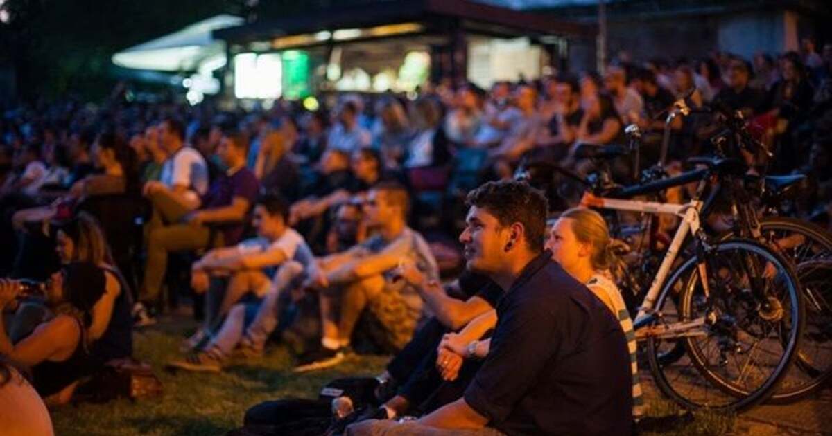 Activități din Timișoara în data de 14 august 2024 Activități din Timișoara în data de 14 august 2024
