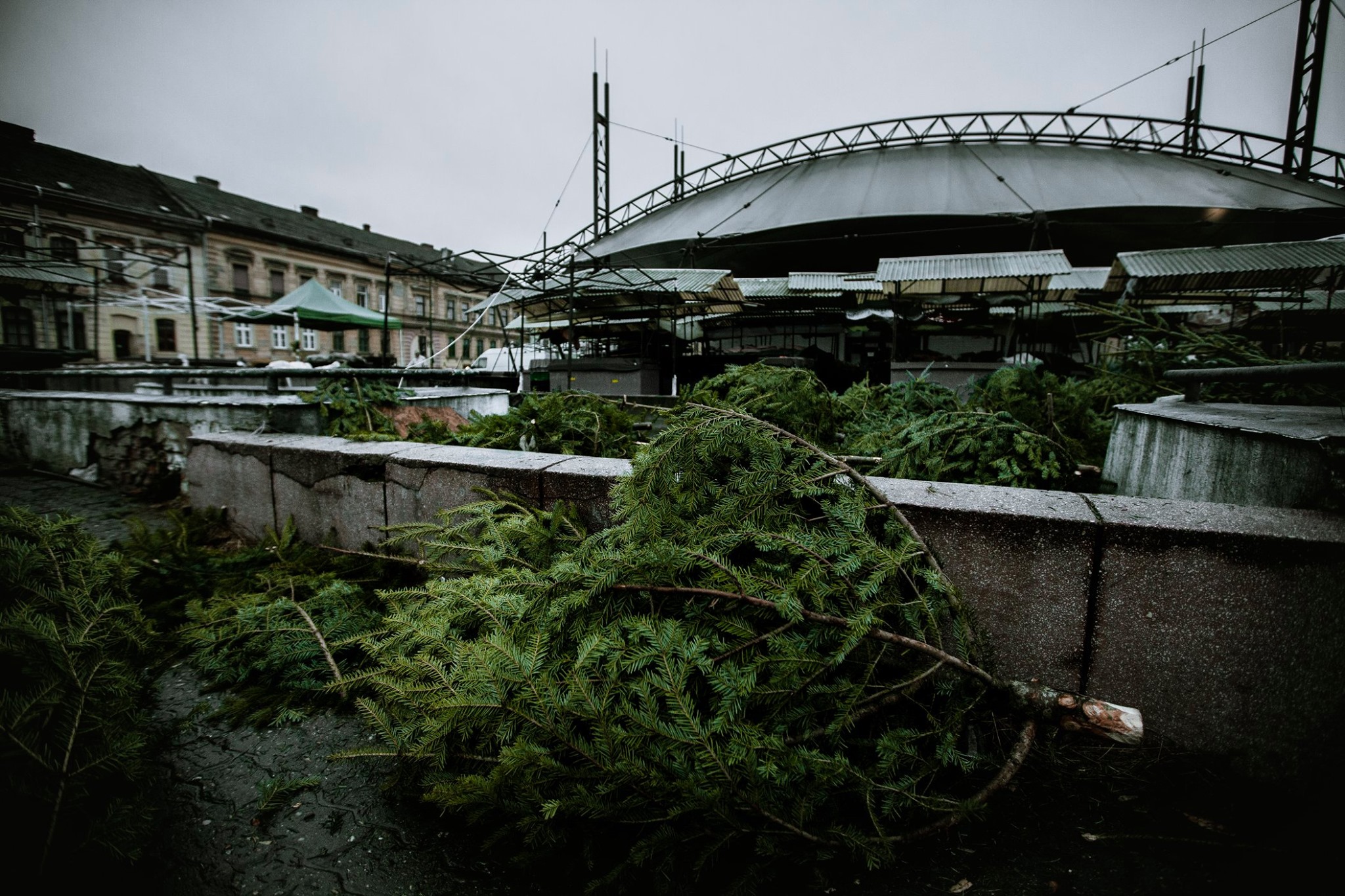 80030558_2784895541573735_9050508631212032000_o