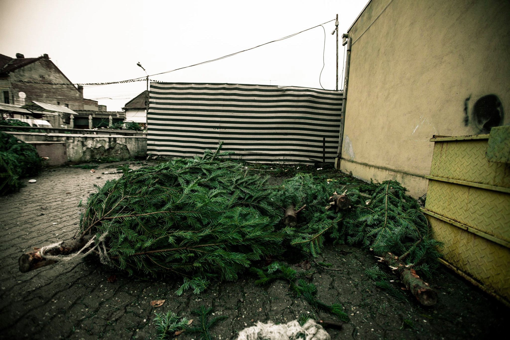 80198291_2784895548240401_2611585599118770176_o