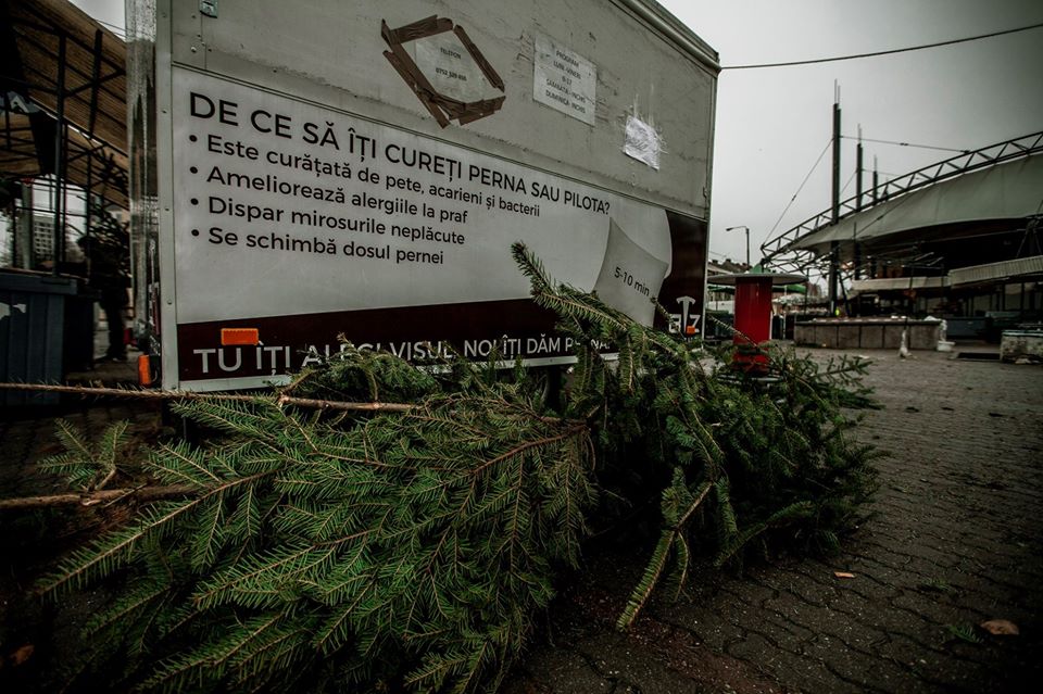 80234199_2784895521573737_8222872702470324224_o