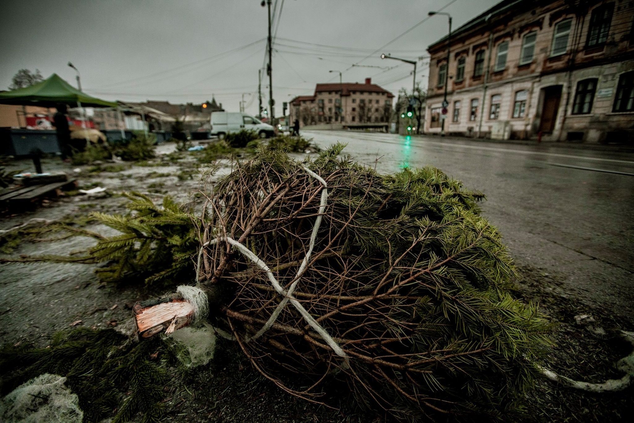 80351379_2784896878240268_6235244906843996160_o