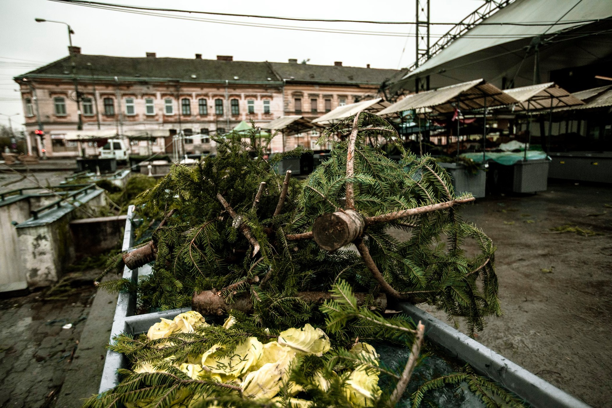 80359856_2784895951573694_7648784670489837568_o