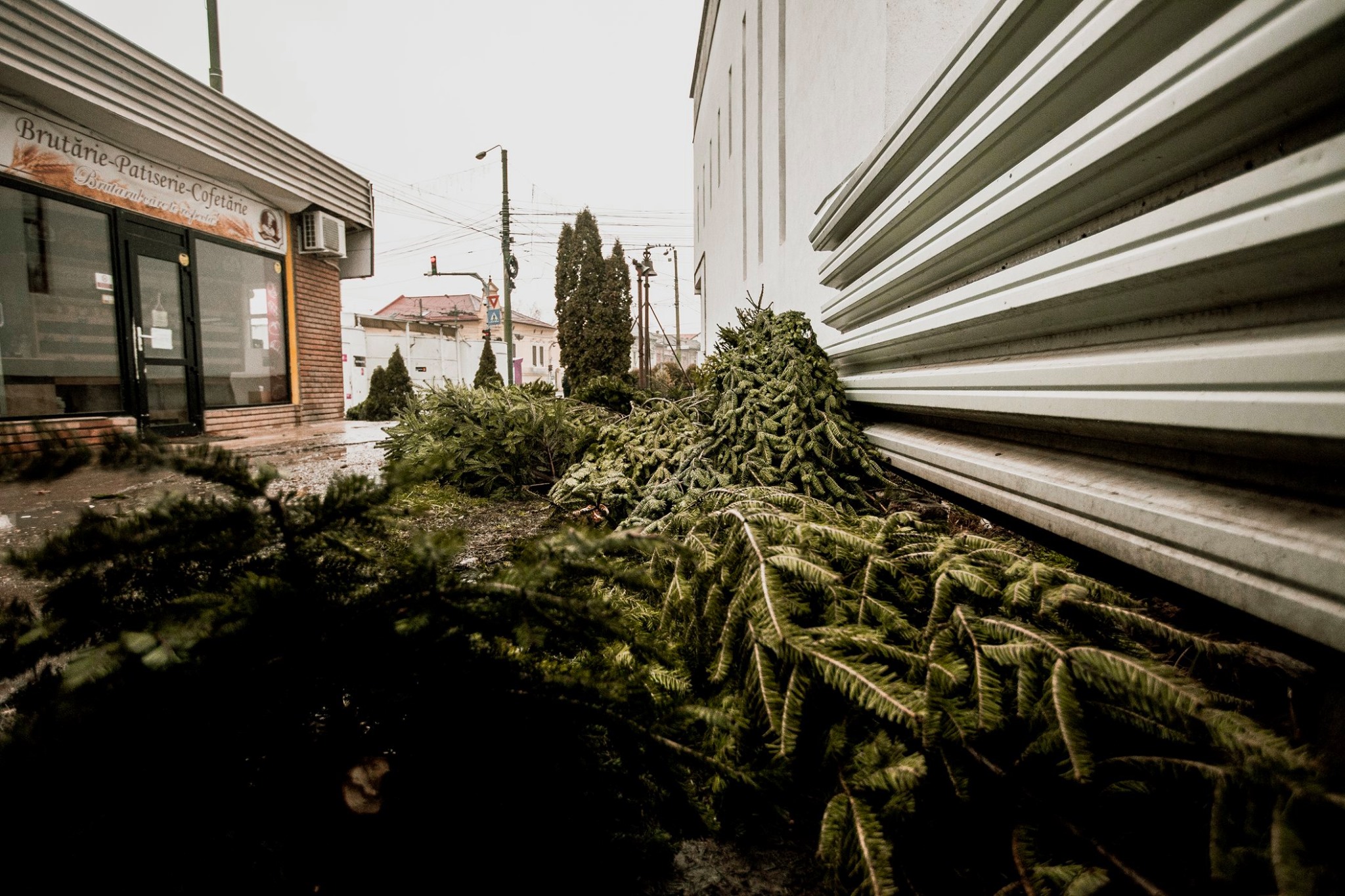 80431247_2784897111573578_1235210586917175296_o