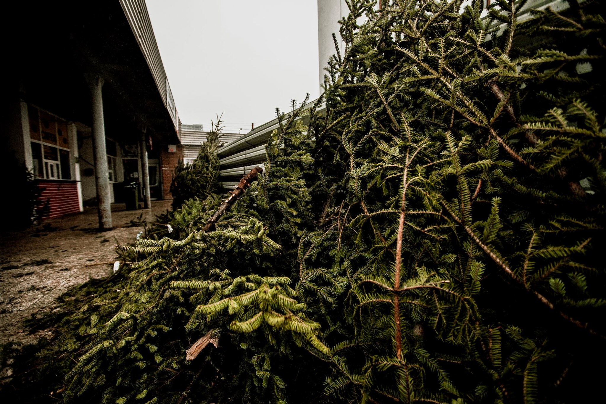 80703380_2784896894906933_8292985174539370496_o