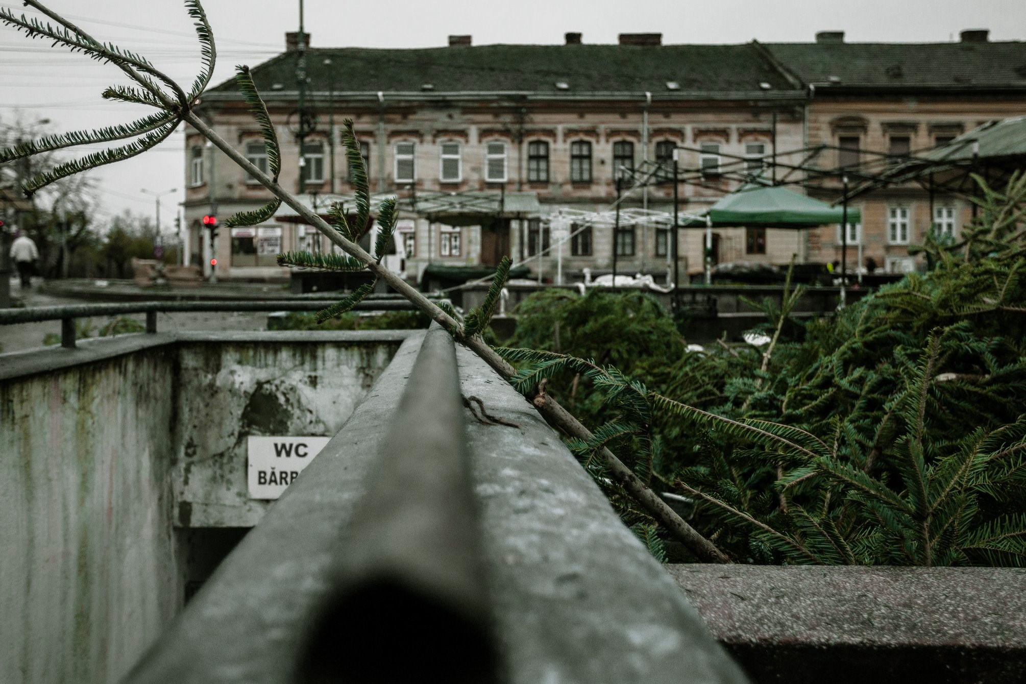 80852352_2784895741573715_6958850332470280192_o