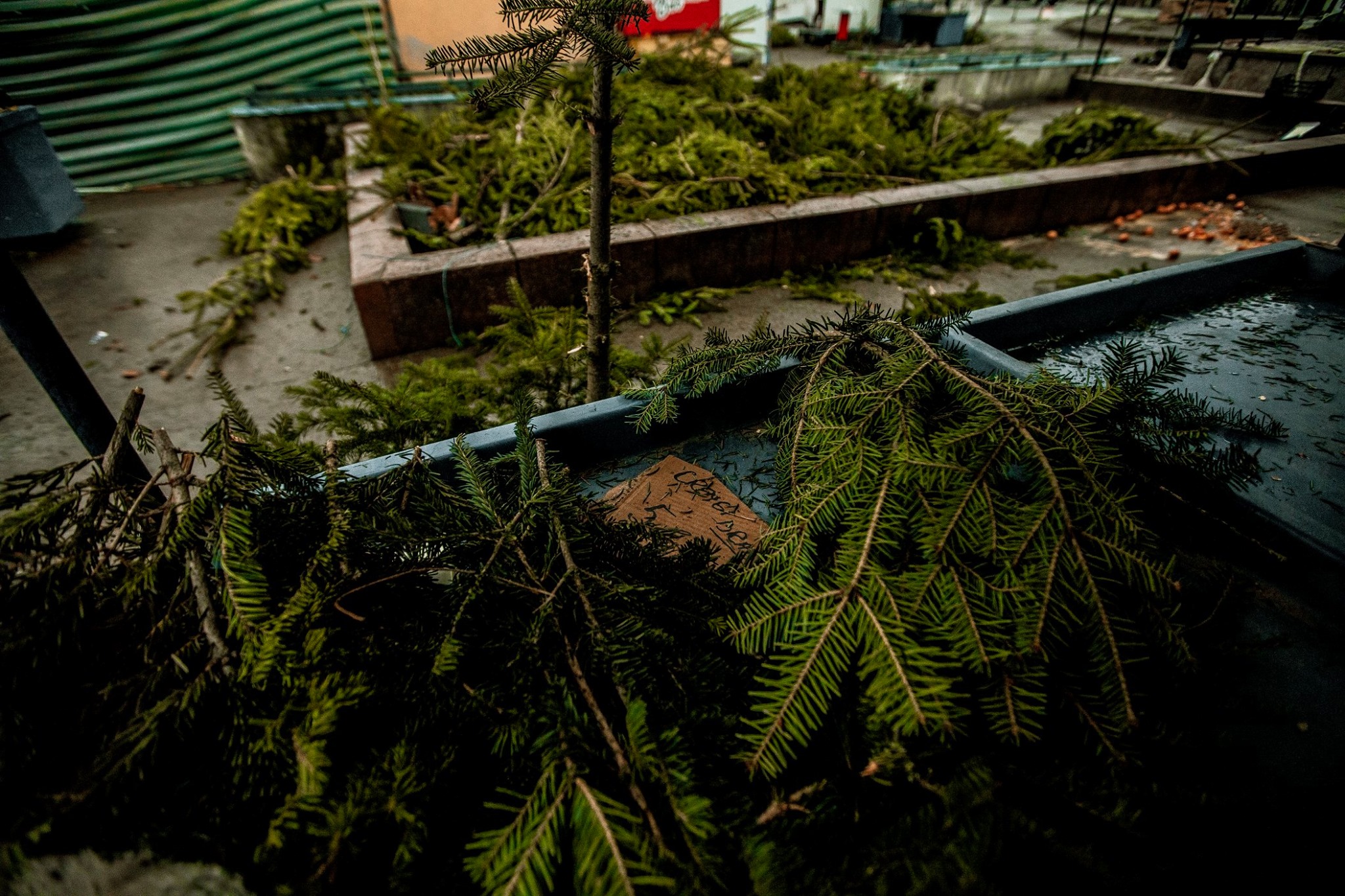 81588545_2784896034907019_2290158866685493248_o