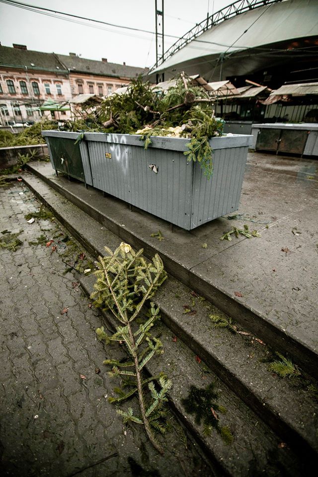 81746009_2784895784907044_4241272181801091072_o