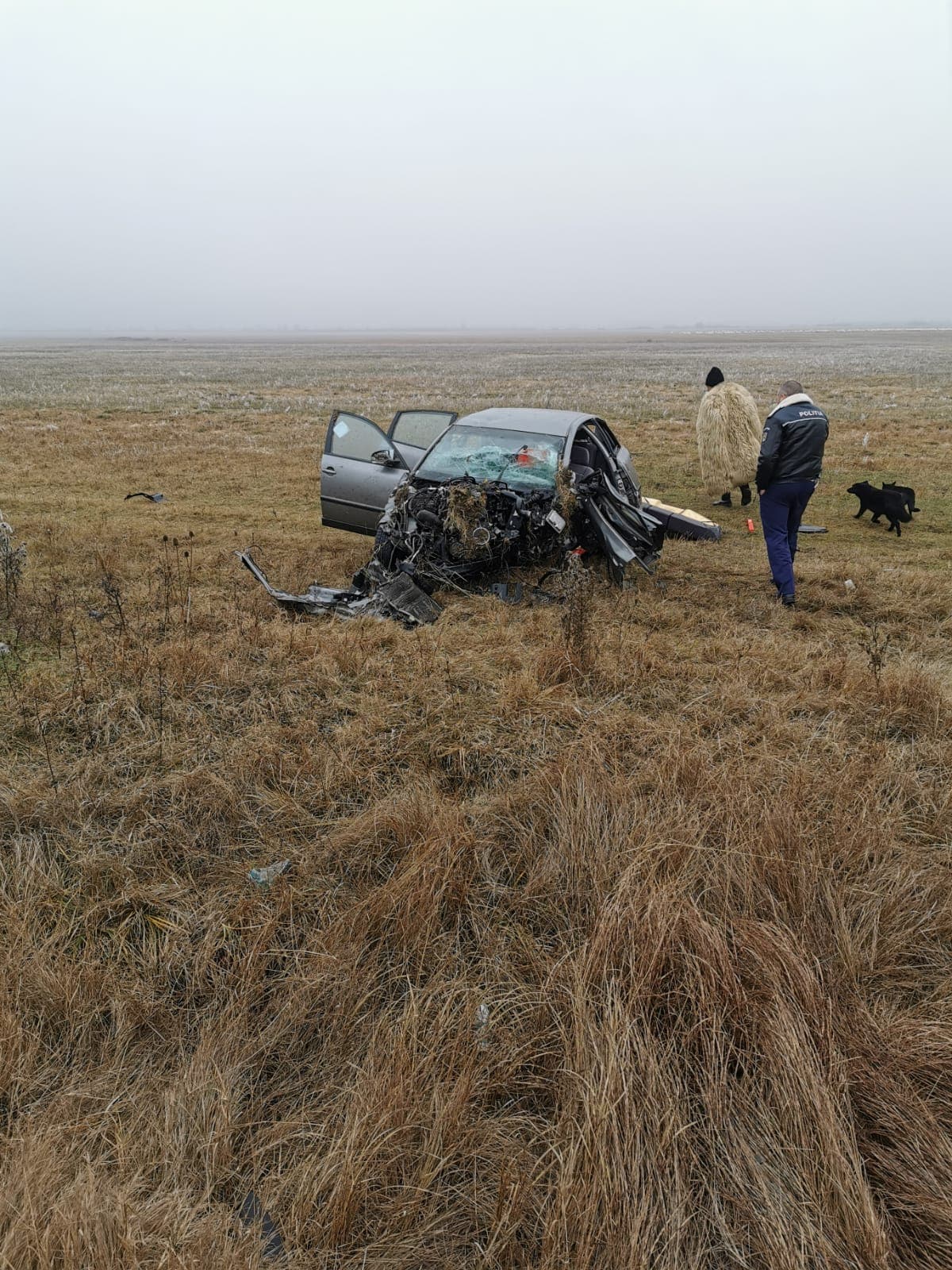 80955016_705844106488094_8838798612176568320_n