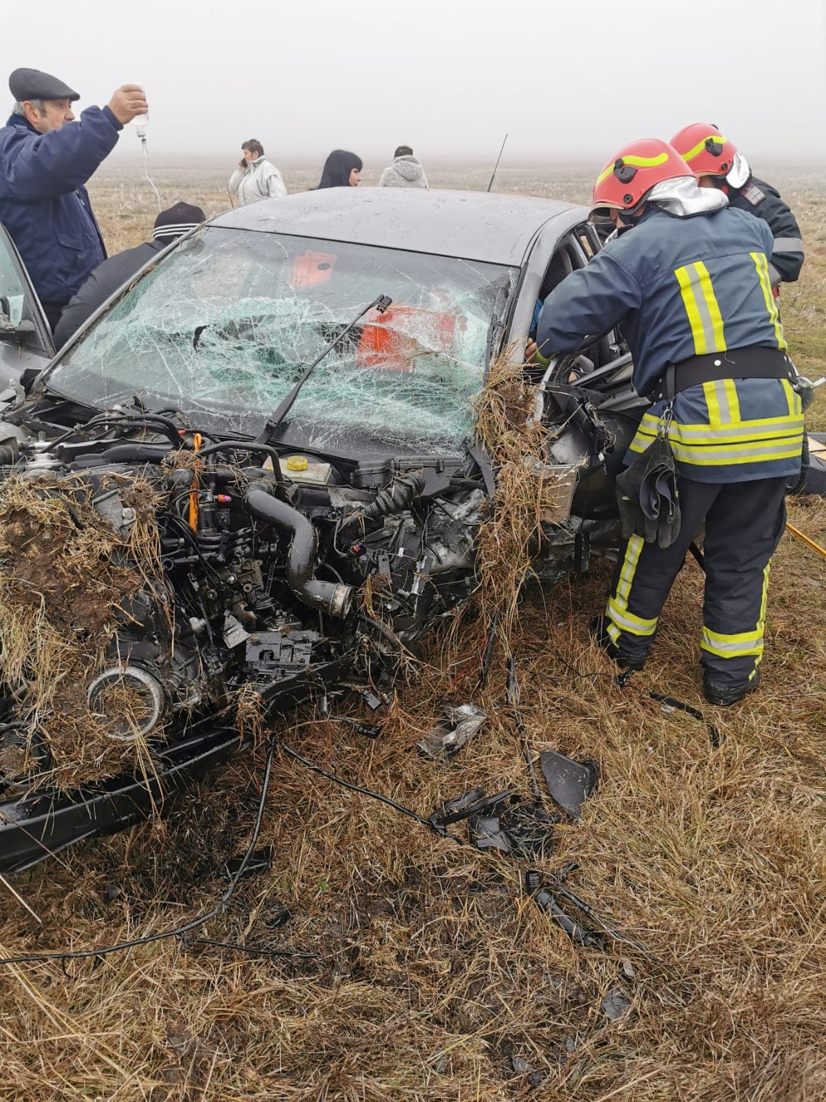 81724562_1479402792200820_3603939927458316288_n