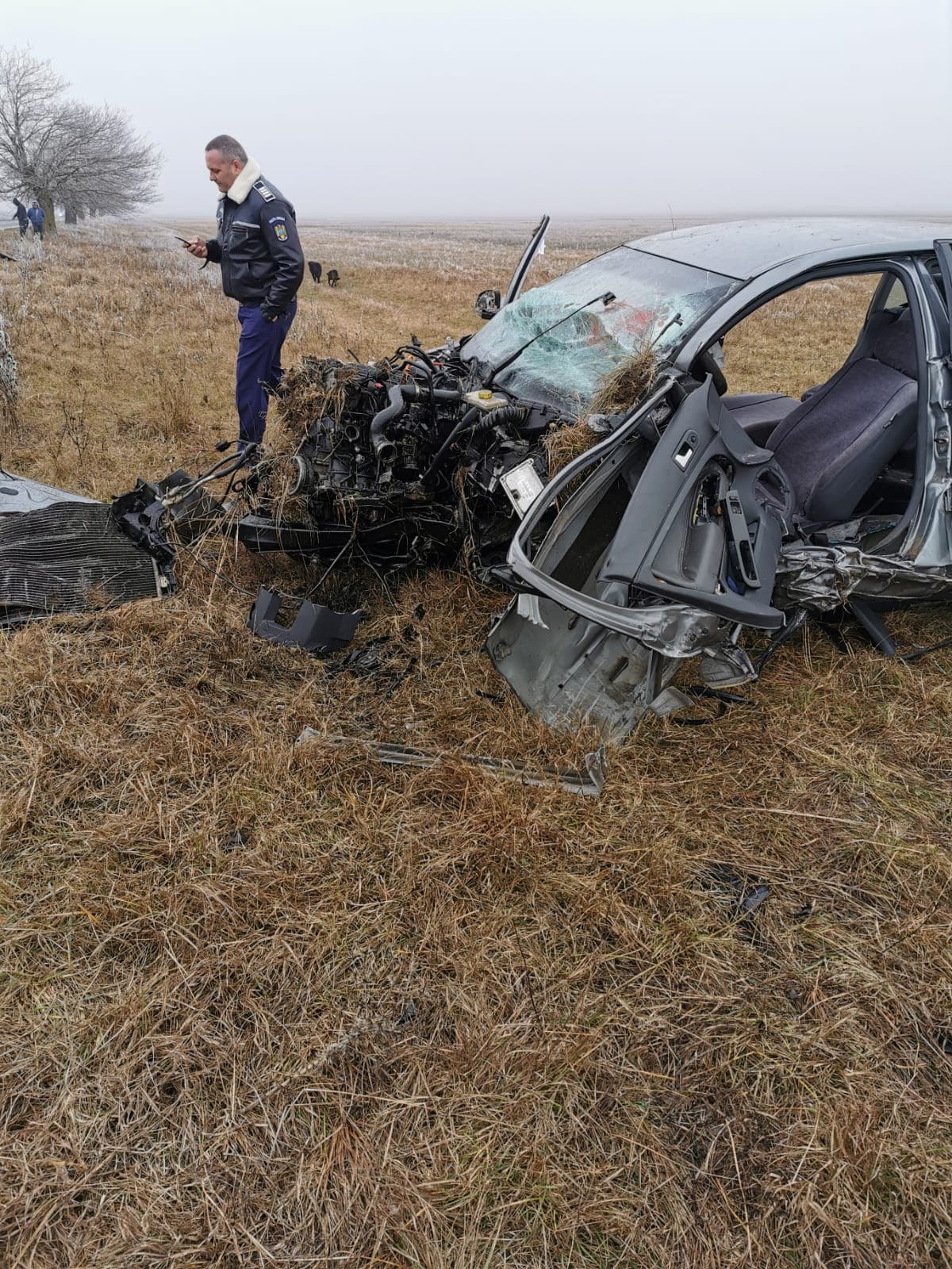 81811305_526021671594701_6340429029585190912_n