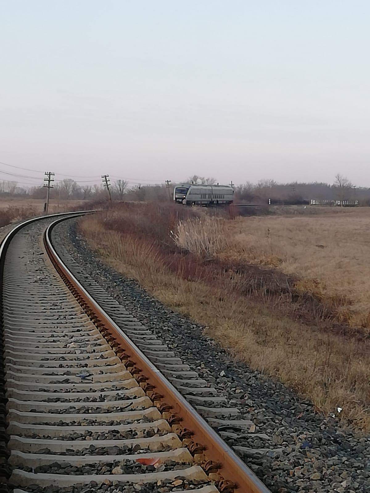 83550775_635481337189036_3221219609369640960_n