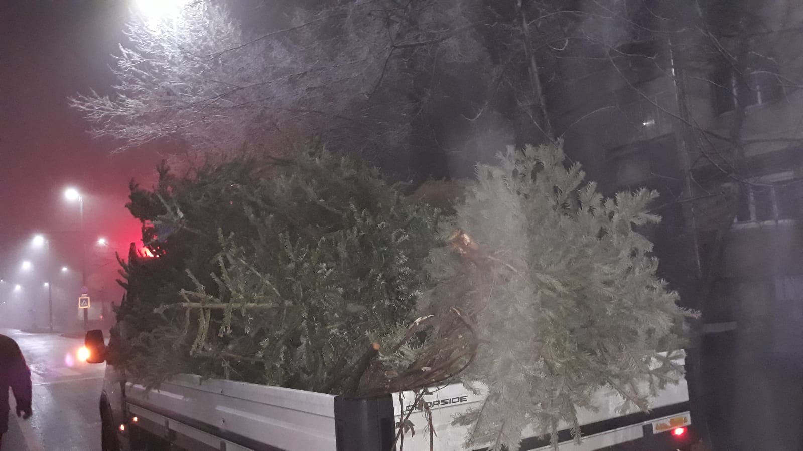 Brazii de Crăciun pe stradă