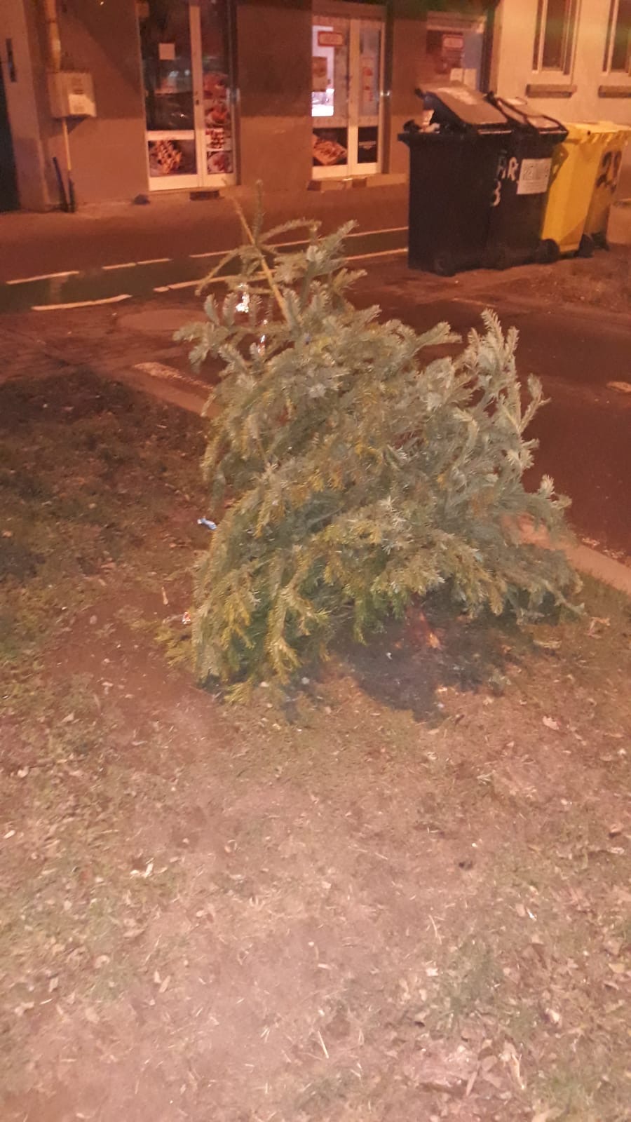 brazi craciun strazi 12