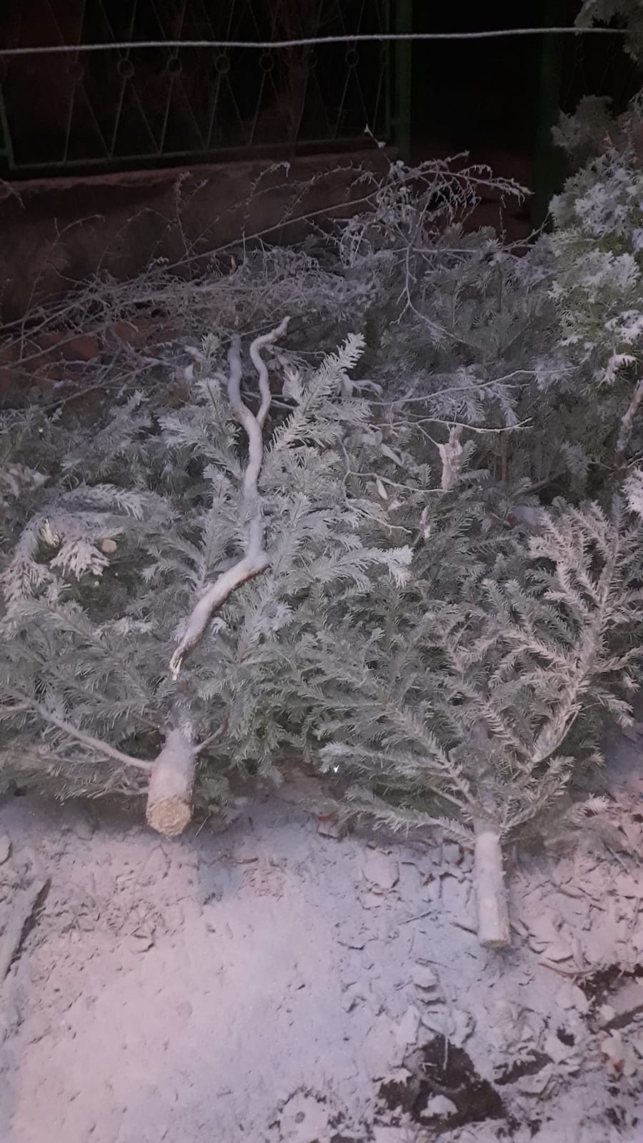 brazi craciun strazi 15