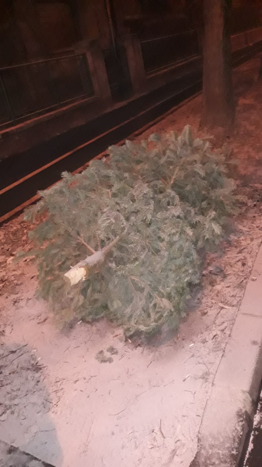 brazi craciun strazi 17