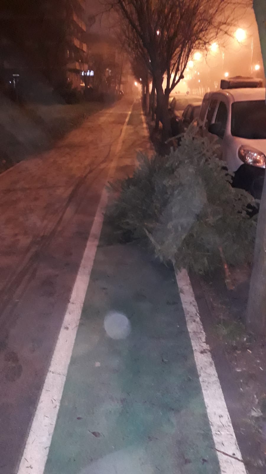 brazi craciun strazi 18