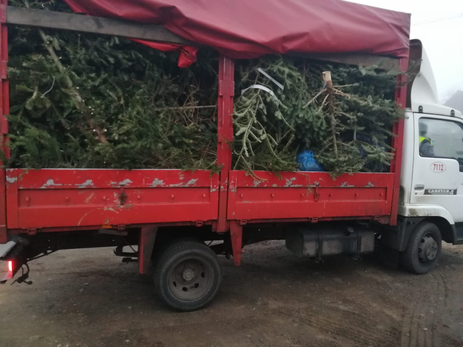 brazi craciun strazi 3