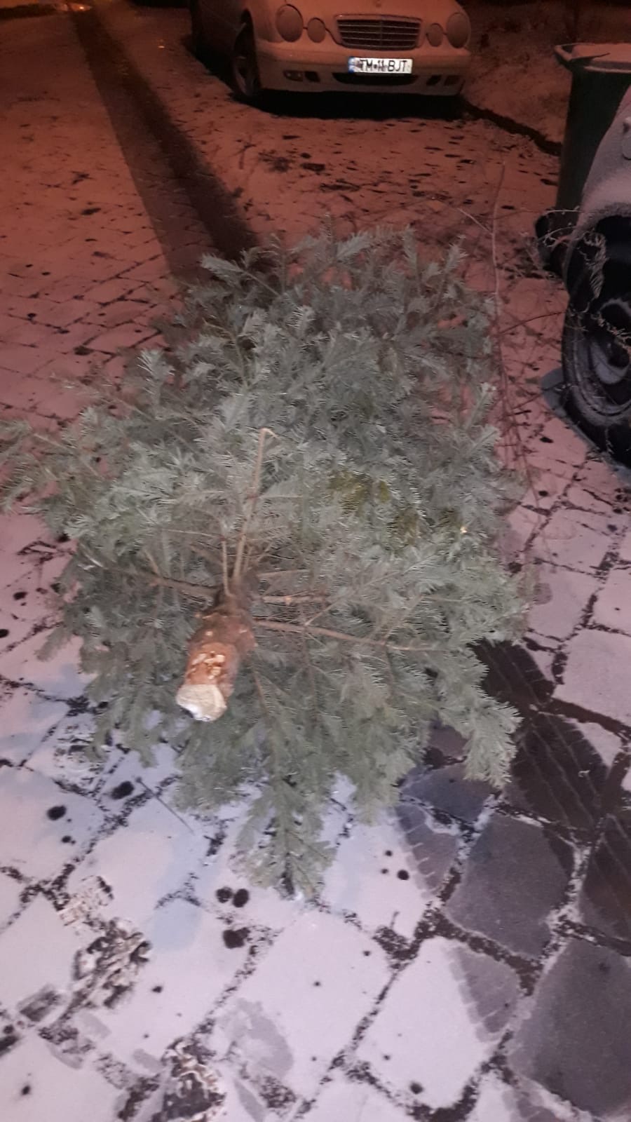 brazi craciun strazi 4