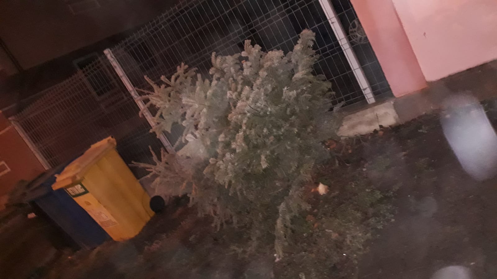 brazi craciun strazi 7