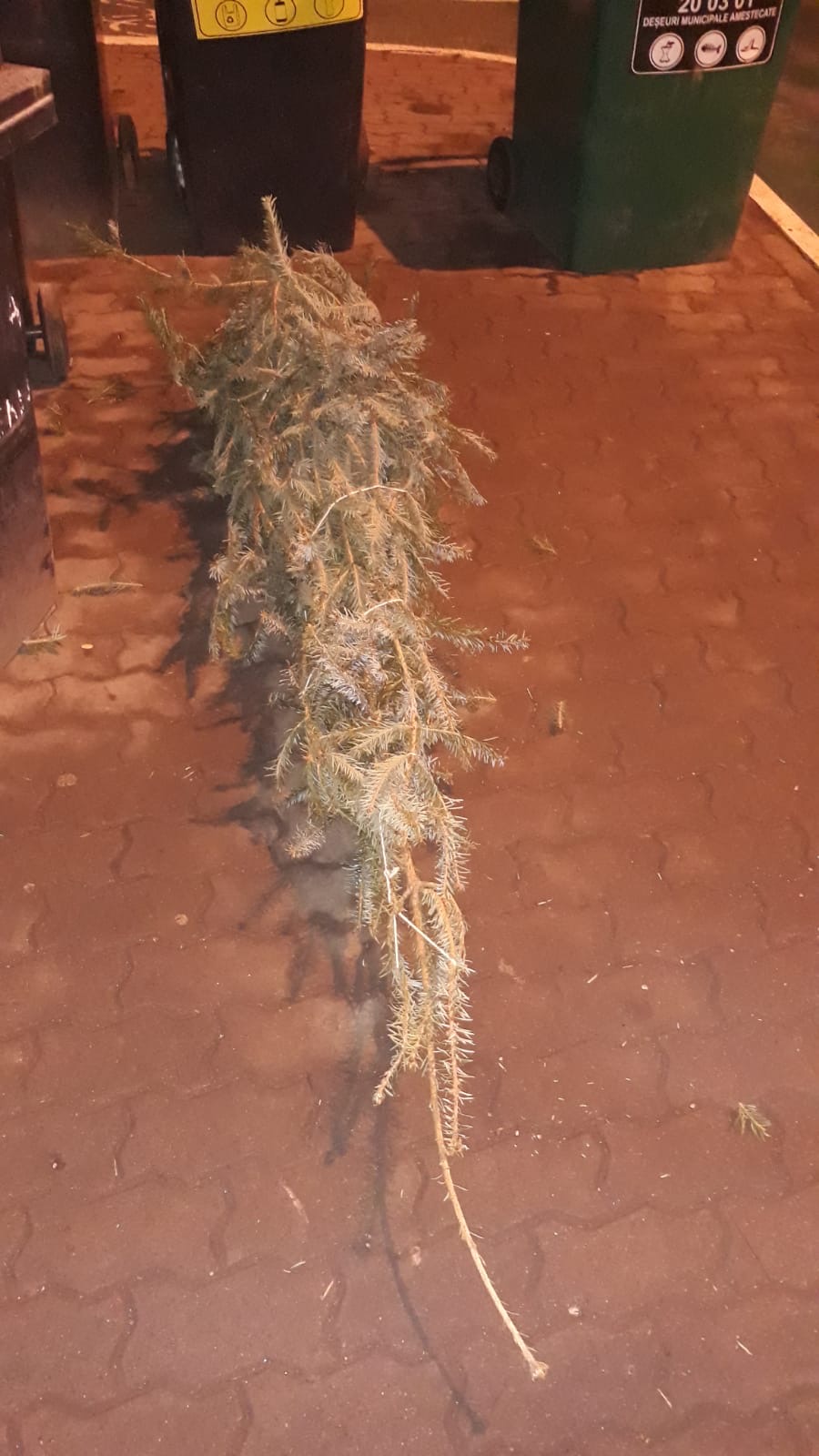 brazi craciun strazi 9