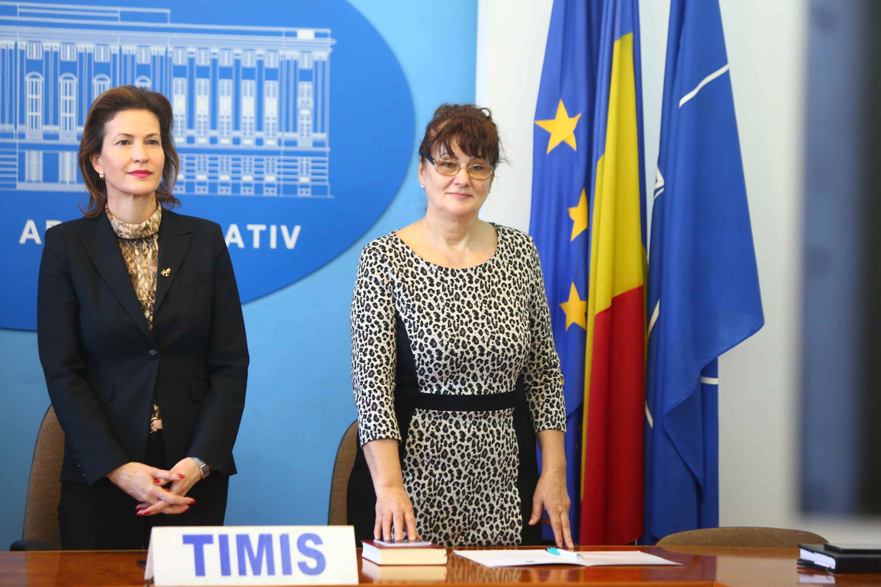 subprefecti TImis (17)