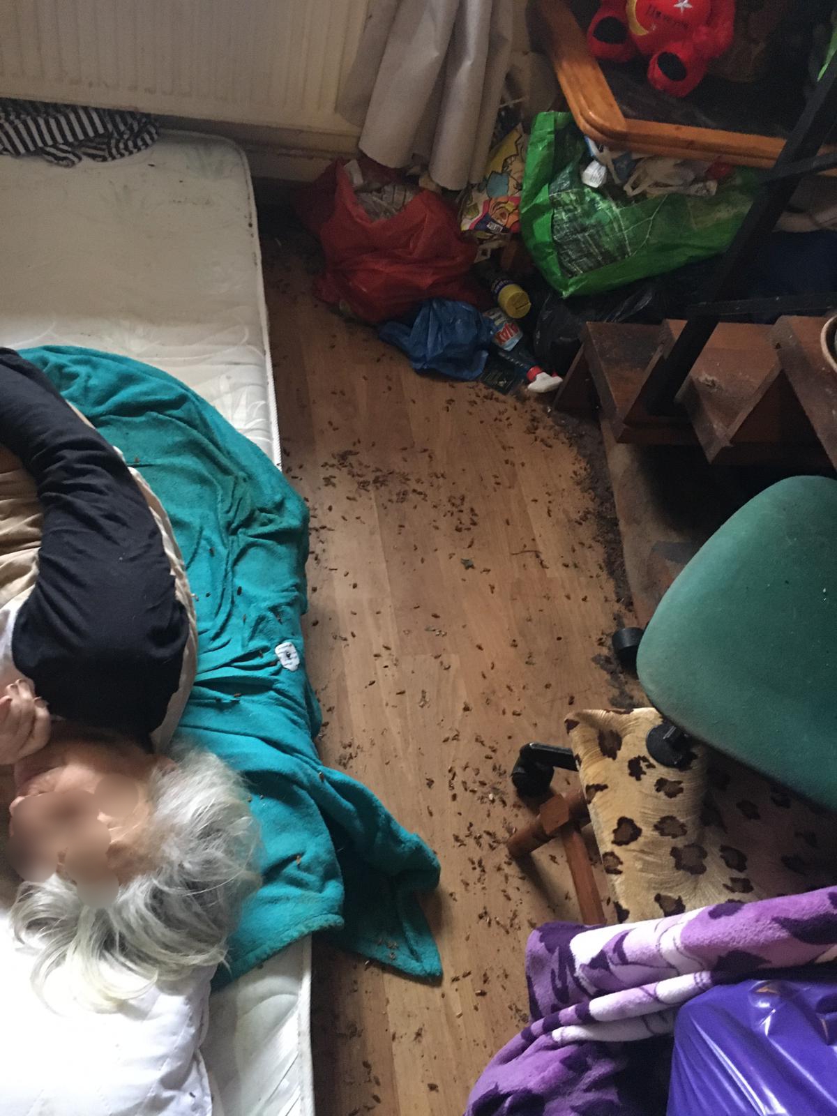 86353380_10218996639519858_8340101537007140864_o