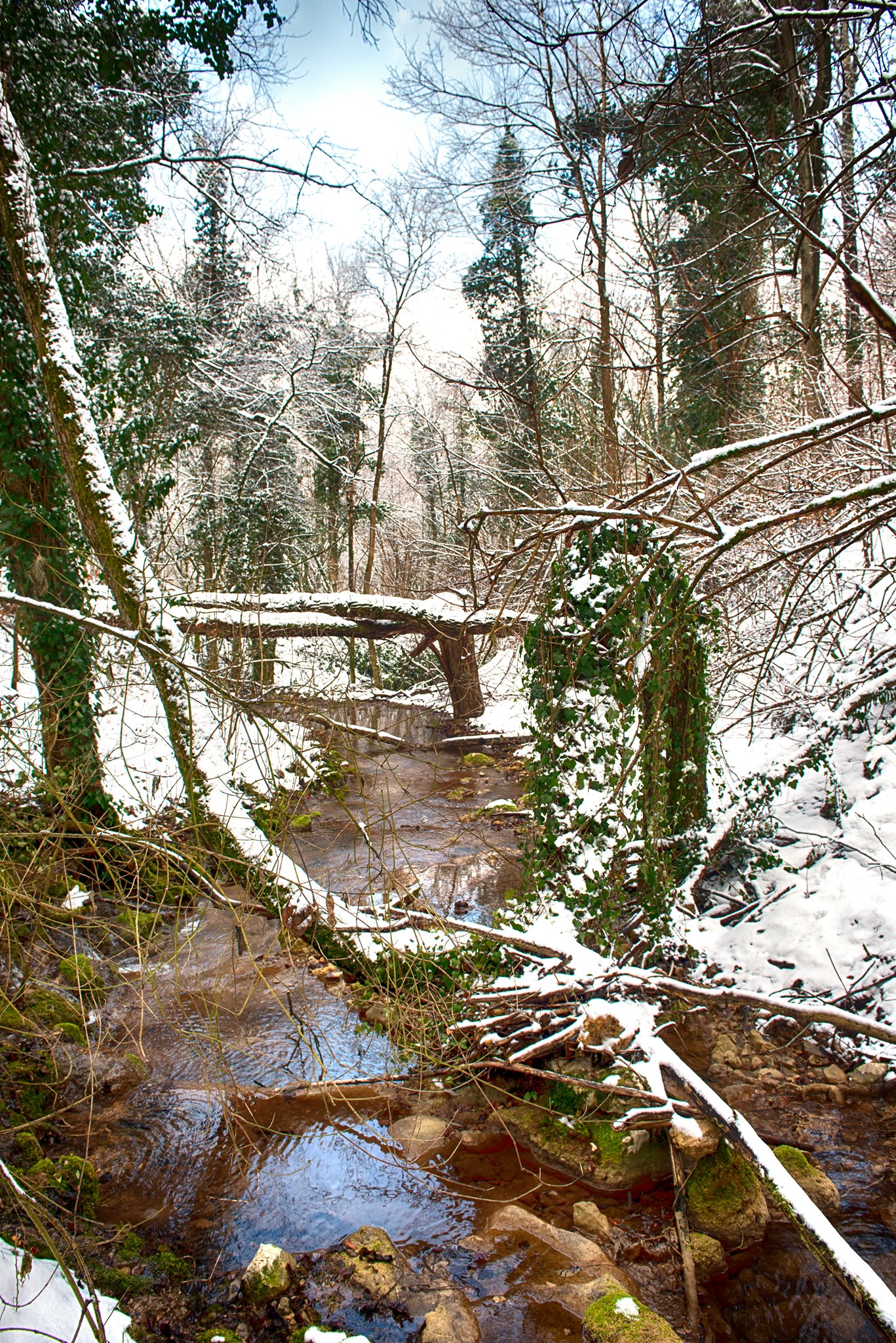 86842005_2538150819738469_1943124139074125824_o