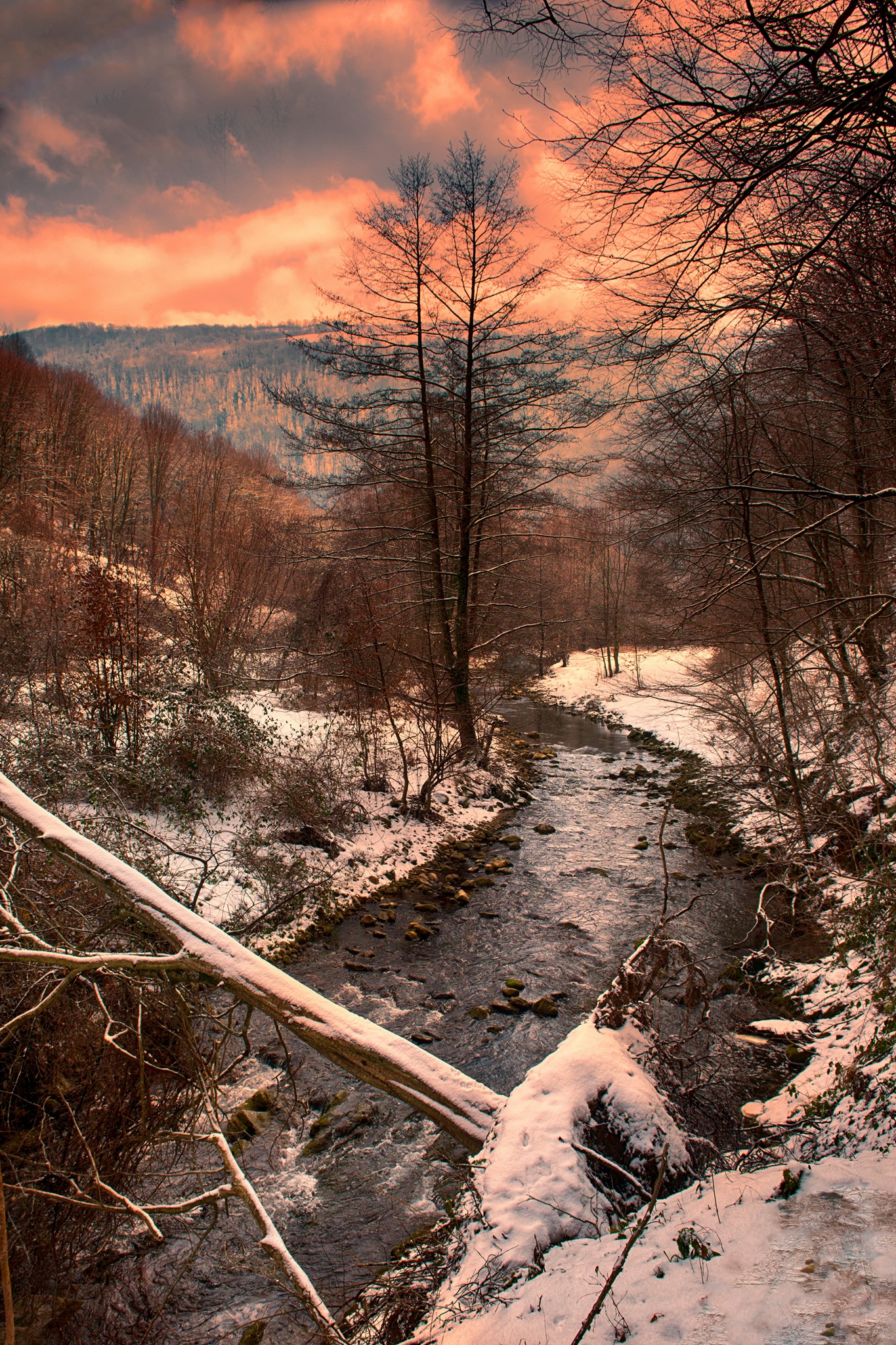 86853681_2538150766405141_2613744146602524672_o