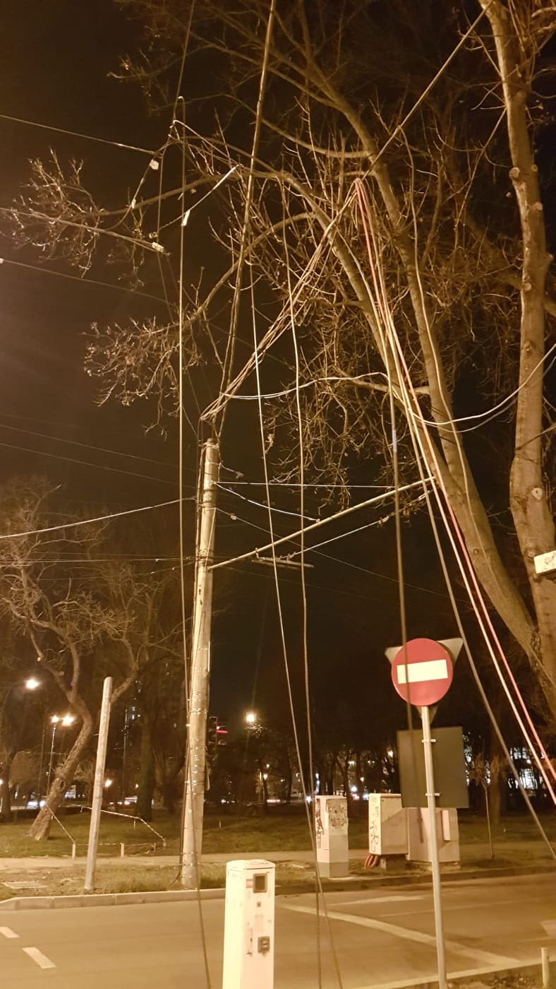 86857559_2785520178227707_4850730931616481280_n