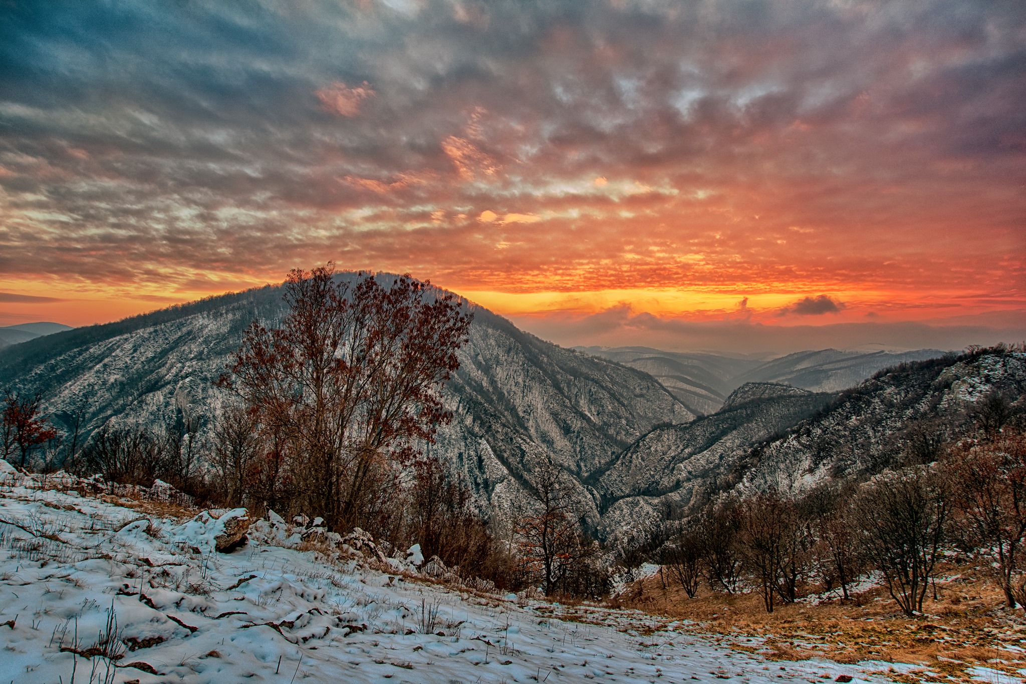 87053623_2538150726405145_6052876257538867200_o