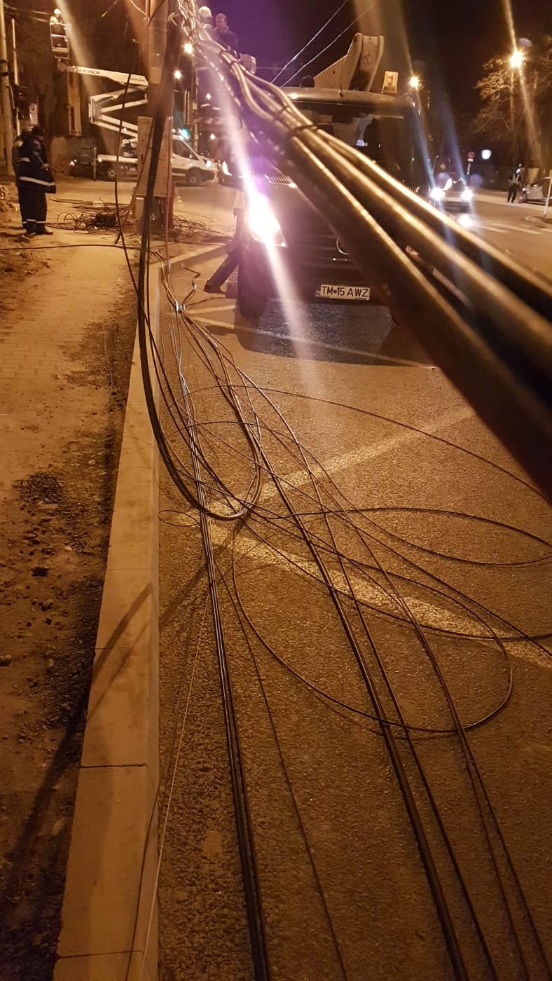 87363018_780017119154062_7754494355494141952_n