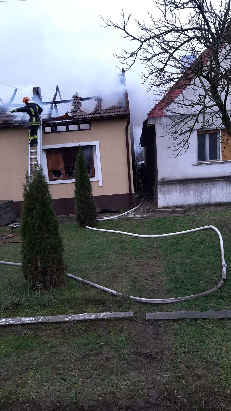 WhatsApp Image 2020-02-05 at 09.17.39