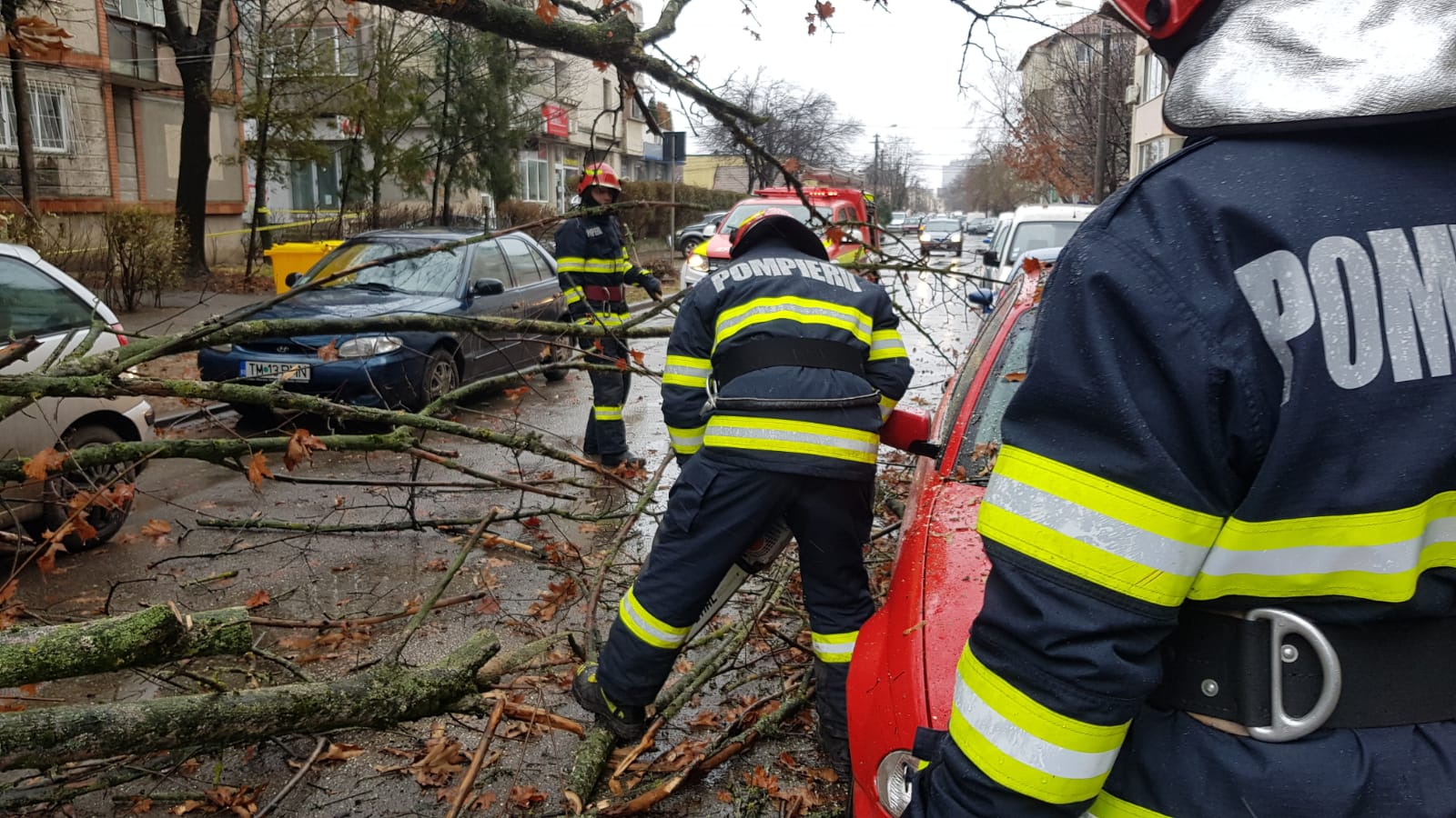 WhatsApp Image 2020-02-05 at 13.35.54