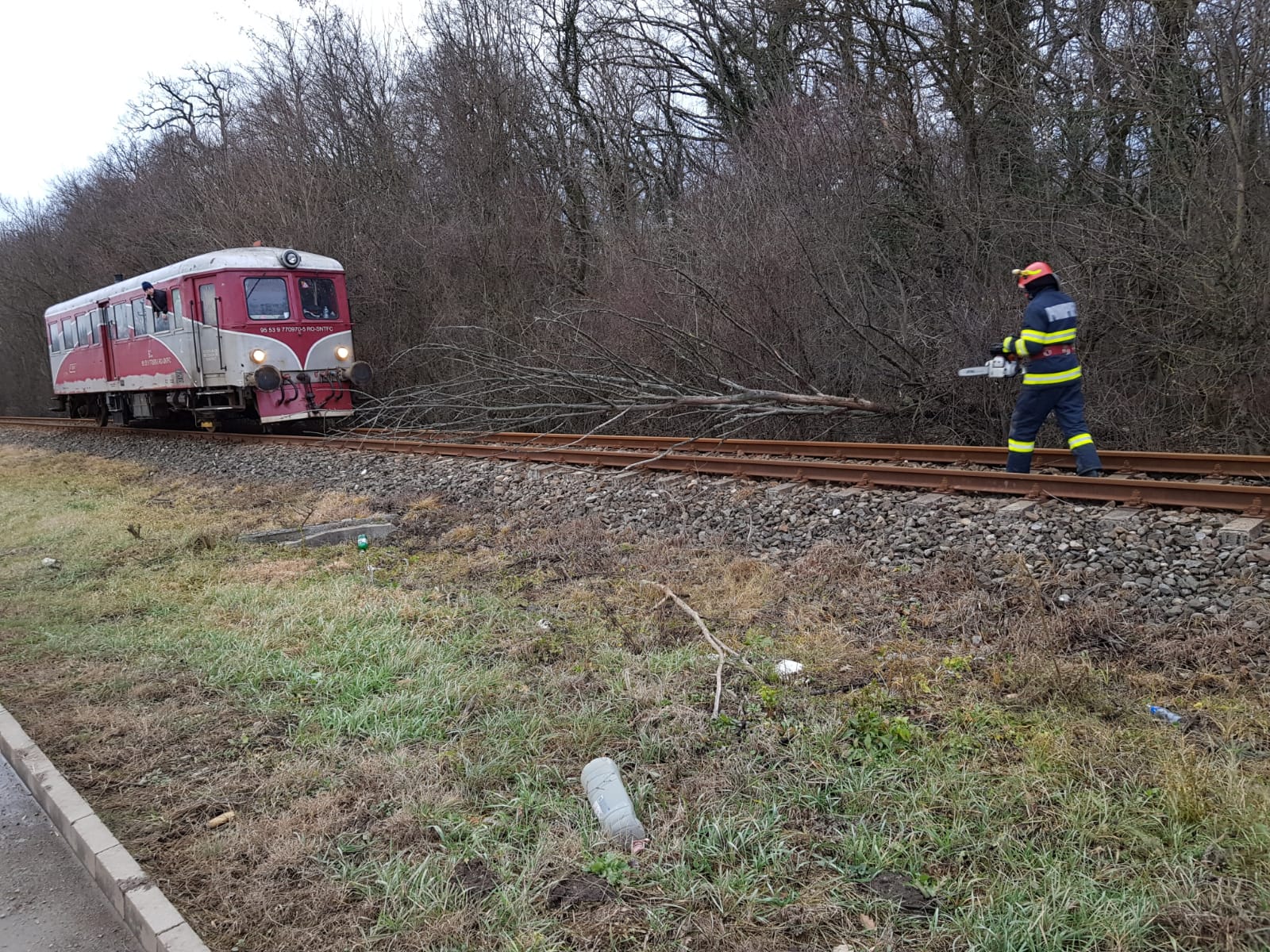 WhatsApp Image 2020-02-05 at 18.16.16