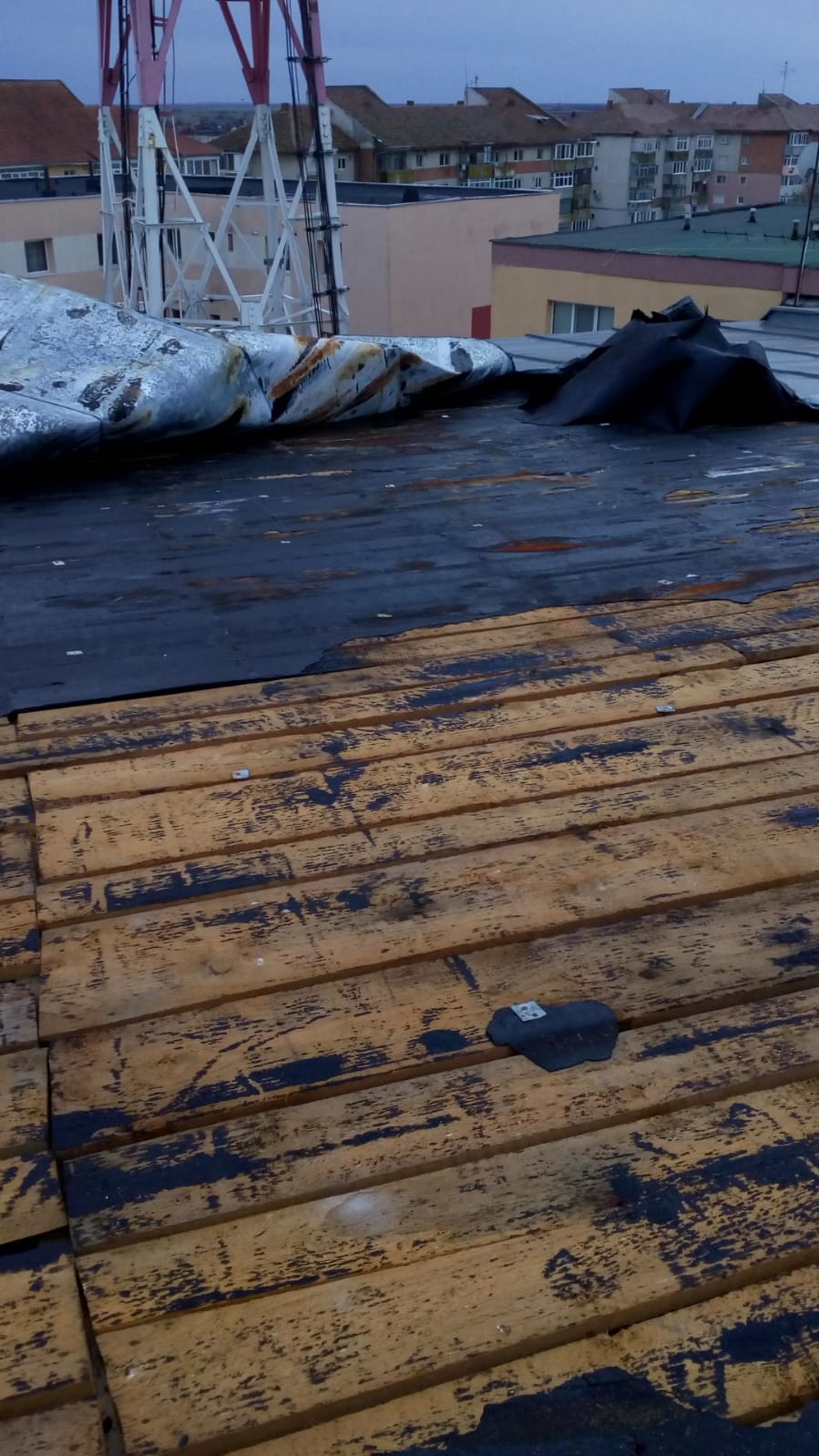 WhatsApp Image 2020-02-05 at 18.16.18