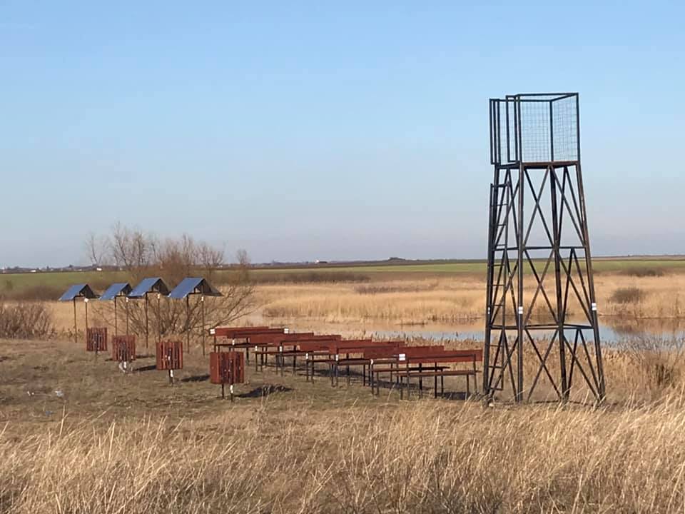 mlkastini stachinez foto ECo Timis (3)