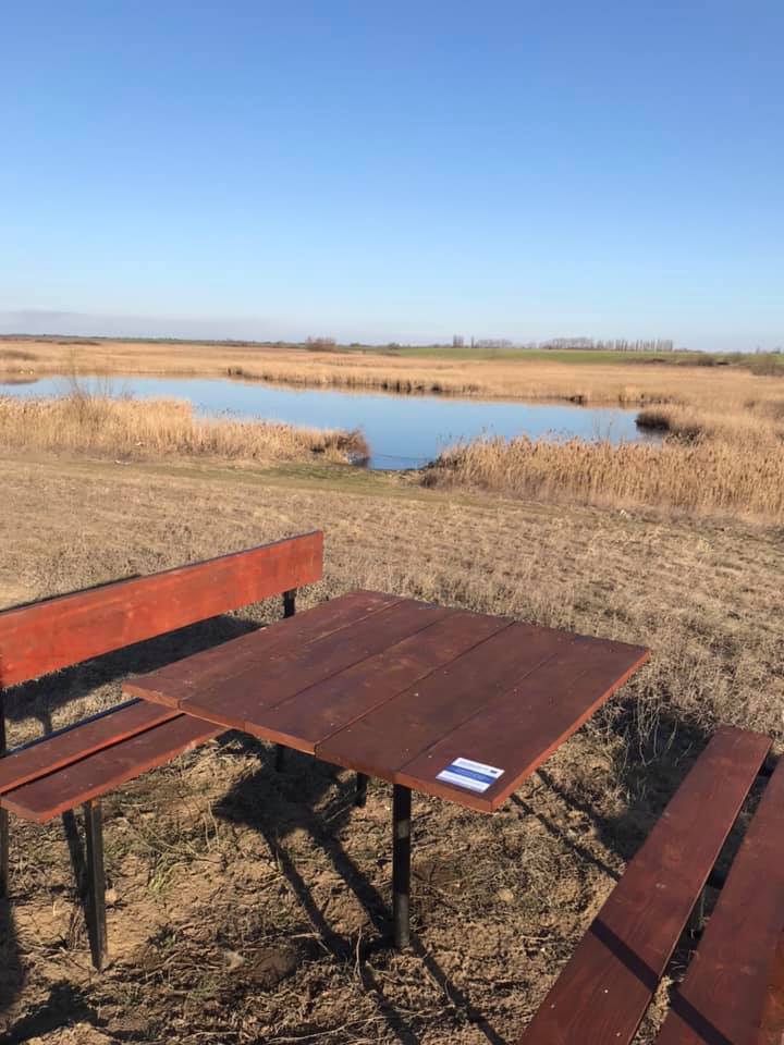 mlkastini stachinez foto ECo Timis (4)