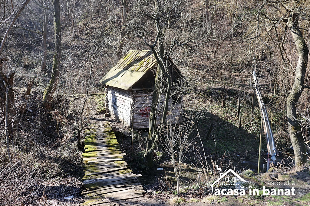 moara-lemn-sasca-montana (1)