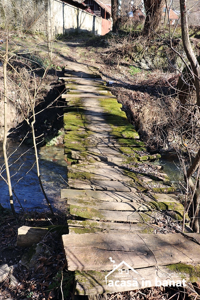 moara-lemn-sasca-montana (3)