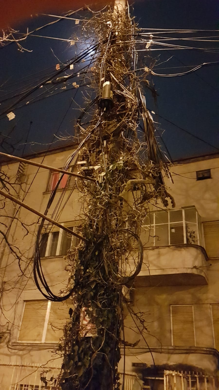 d9fa5fd0-3262-4ea8-8978-c1a7b643b37c