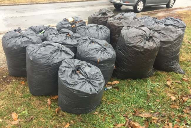Timișorenii ar putea plăti tarife cu 50% mai mici pentru colectarea și transportul deșeurilor vegetale
