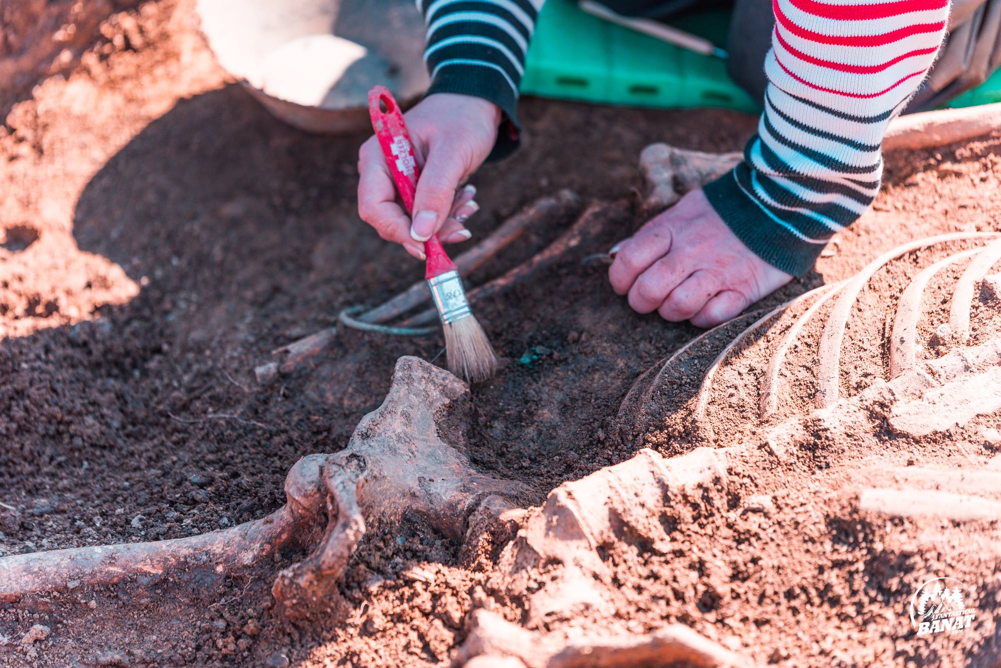 94839100_225693525539465_4094681872792027136_o