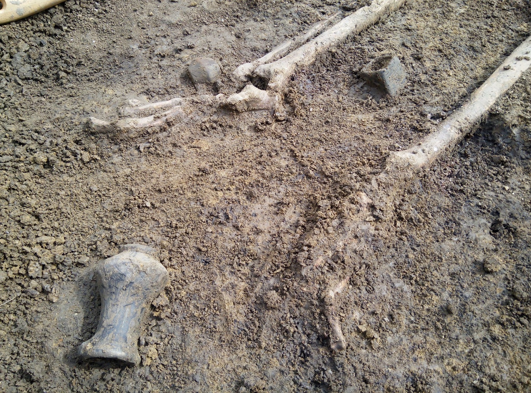 94878111_225693838872767_3112493414214533120_o (1)