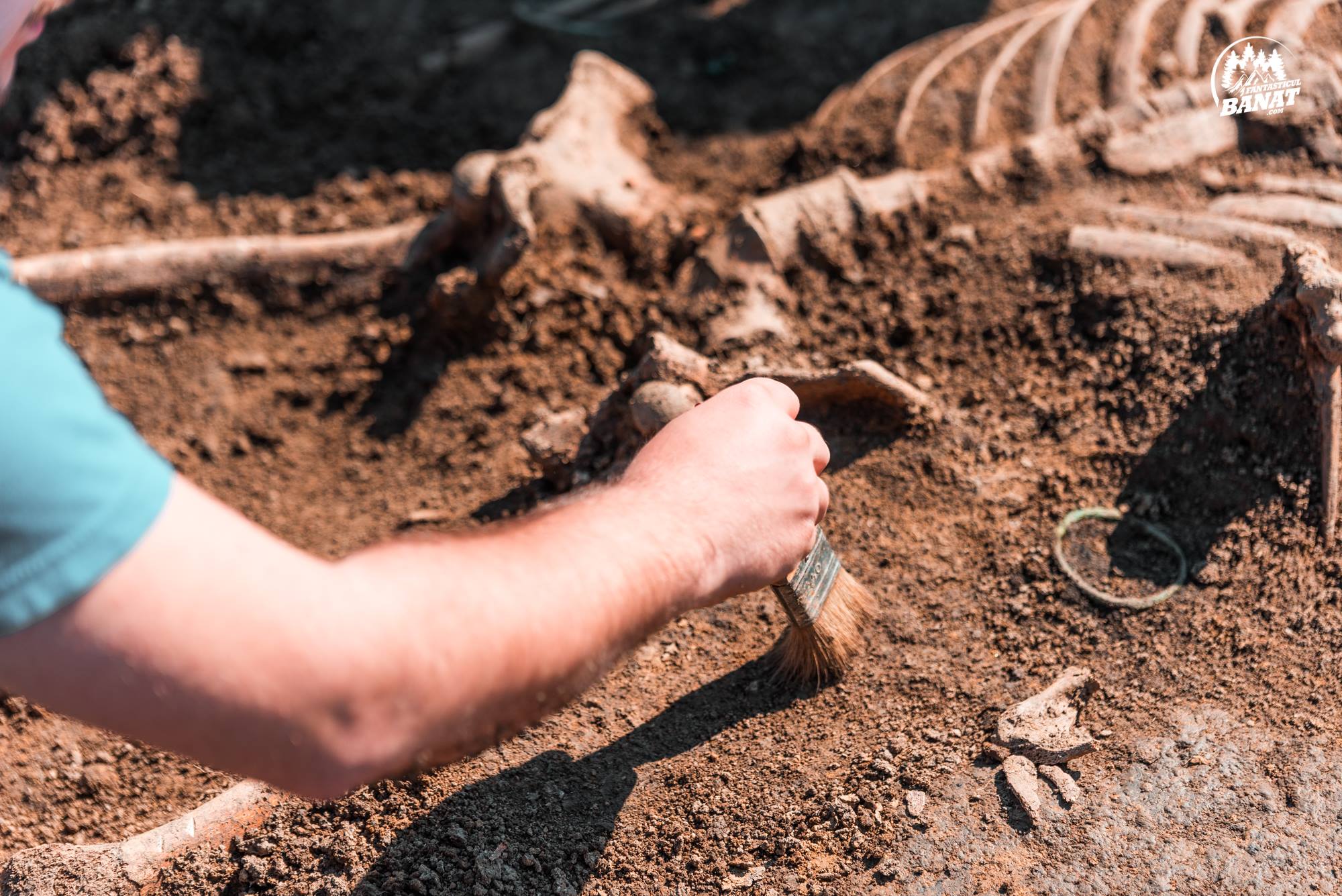 95013605_225693472206137_5358358343305920512_o