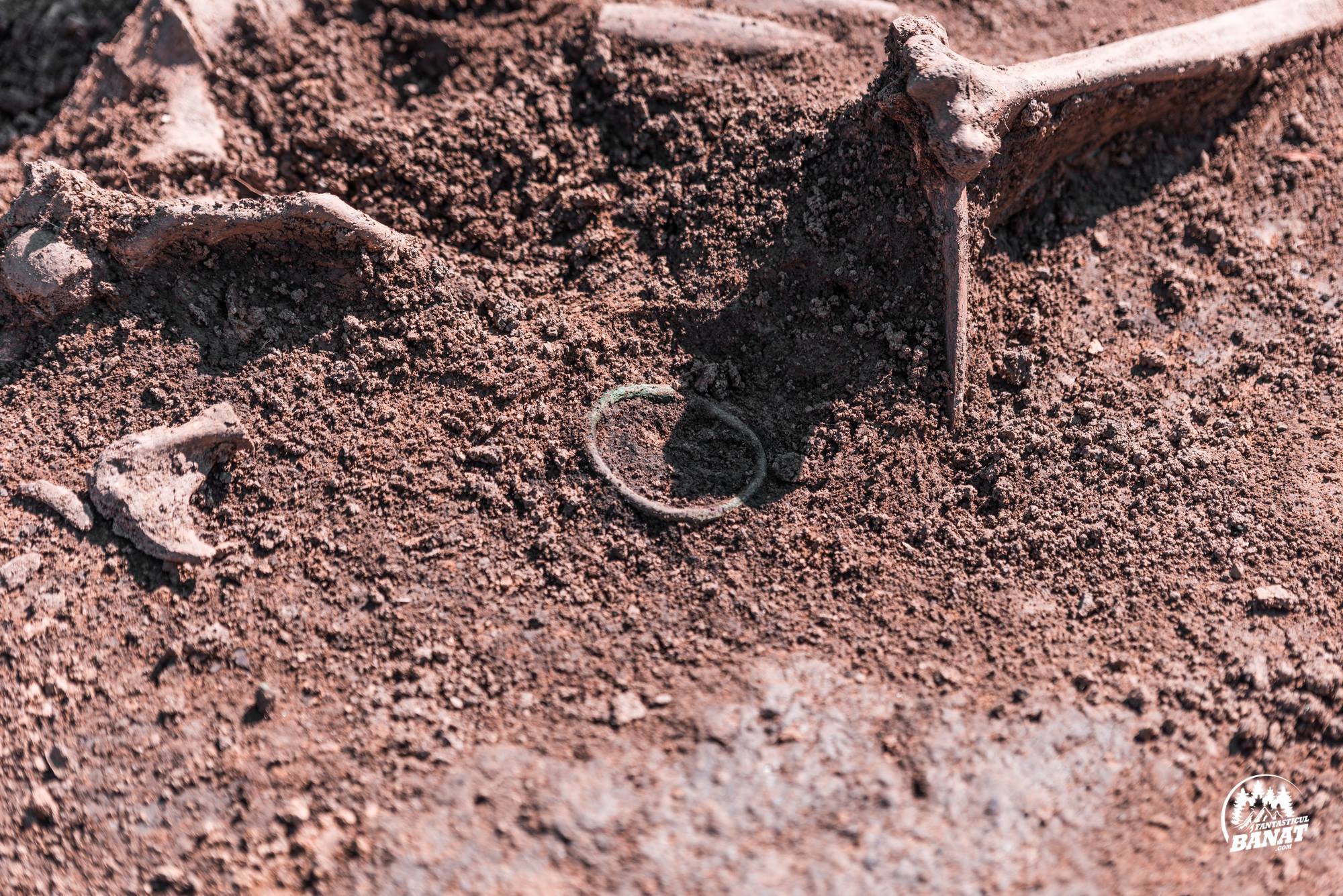 95430023_225693575539460_3475109982528077824_o