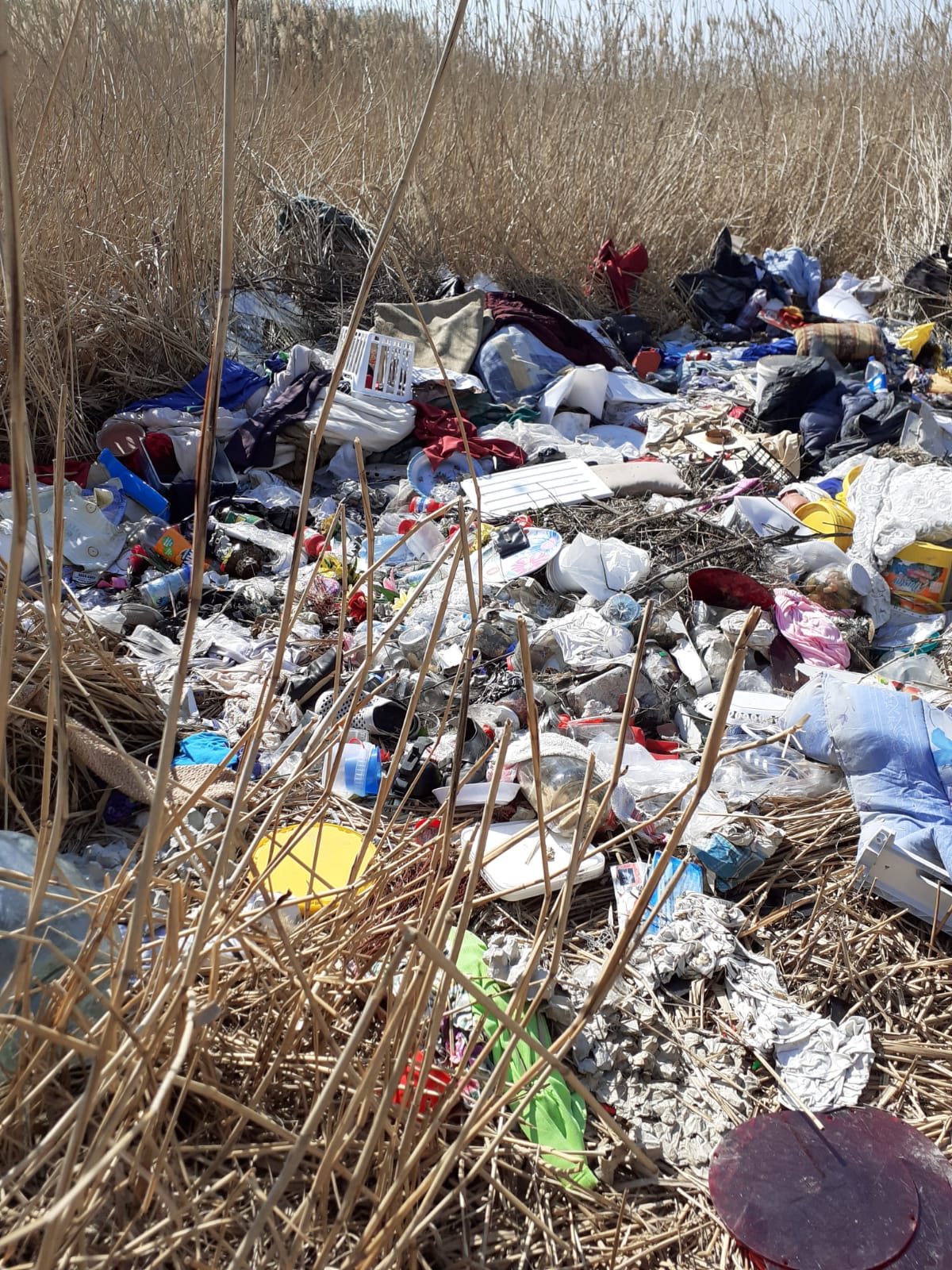 WhatsApp Image 2020-04-03 at 12.00.39