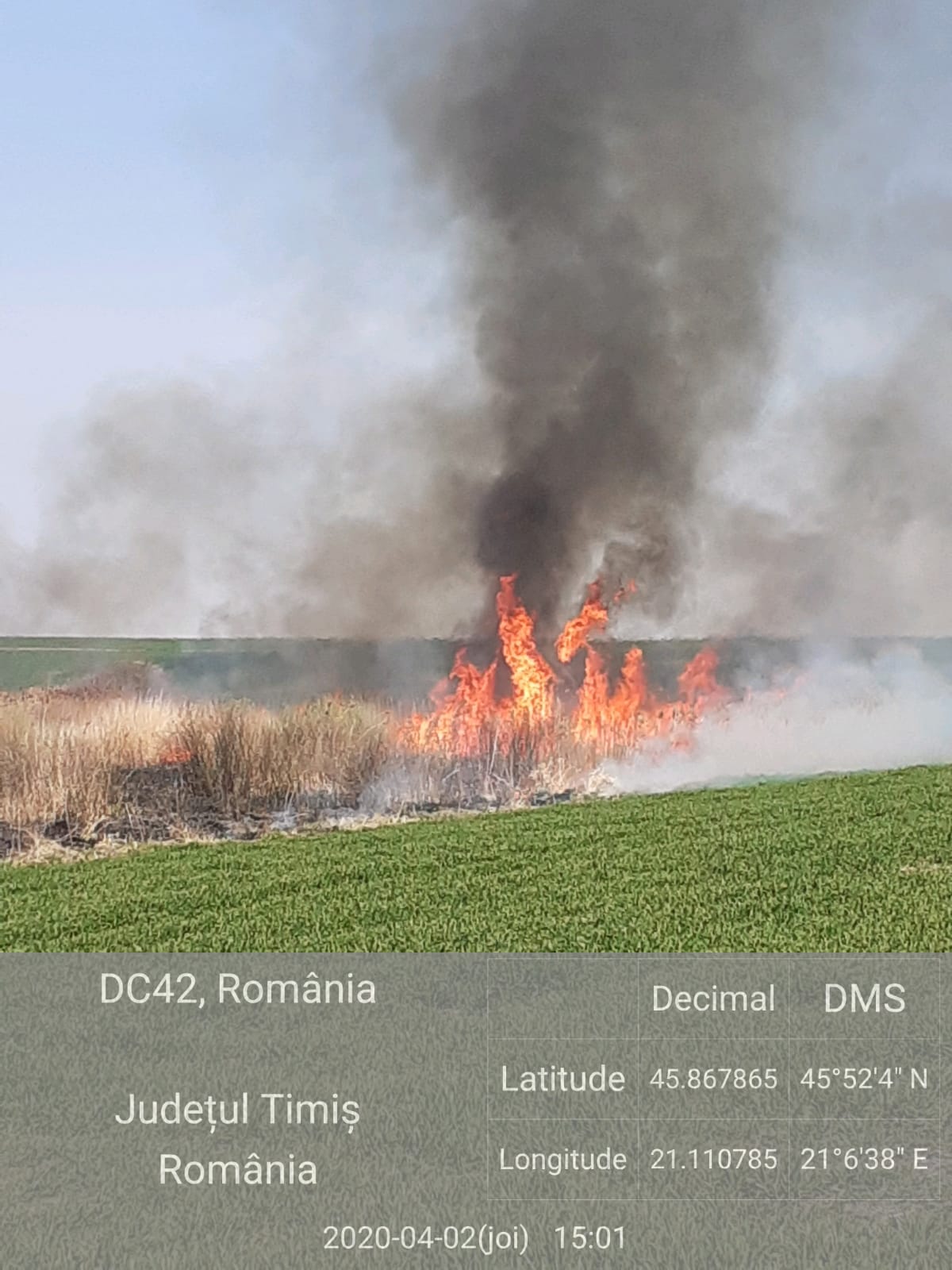 WhatsApp Image 2020-04-03 at 12.00.40 (2)