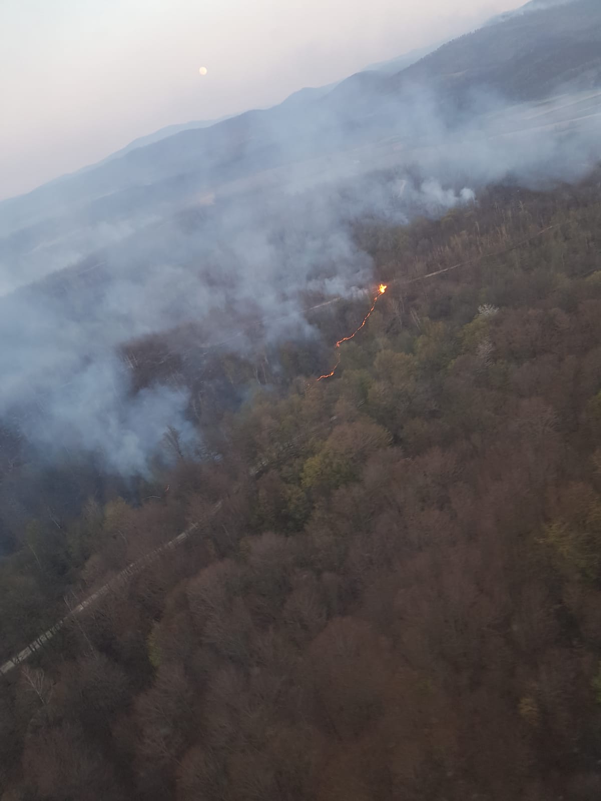 WhatsApp Image 2020-04-08 at 13.35.30